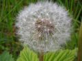 DSCN1238.JPG