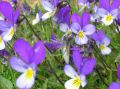 DSCN1260.JPG
