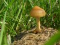 DSCN2236.JPG