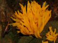 DSCN4233.JPG