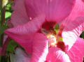 DSCN2254.JPG